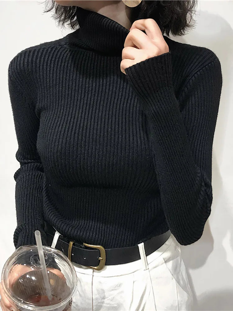 Fold-Over Turtleneck Knit Sweater