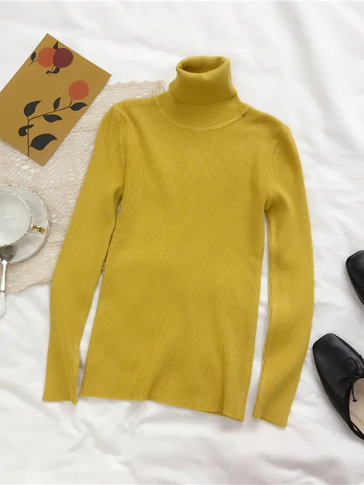 Fold-Over Turtleneck Knit Sweater